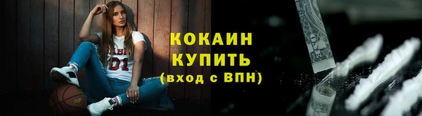 шишки Осинники