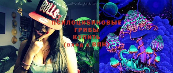 прущие грибы Армянск