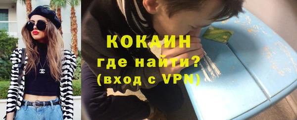 прущие грибы Армянск