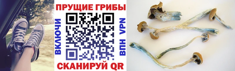 Псилоцибиновые грибы MAGIC MUSHROOMS  Островной 